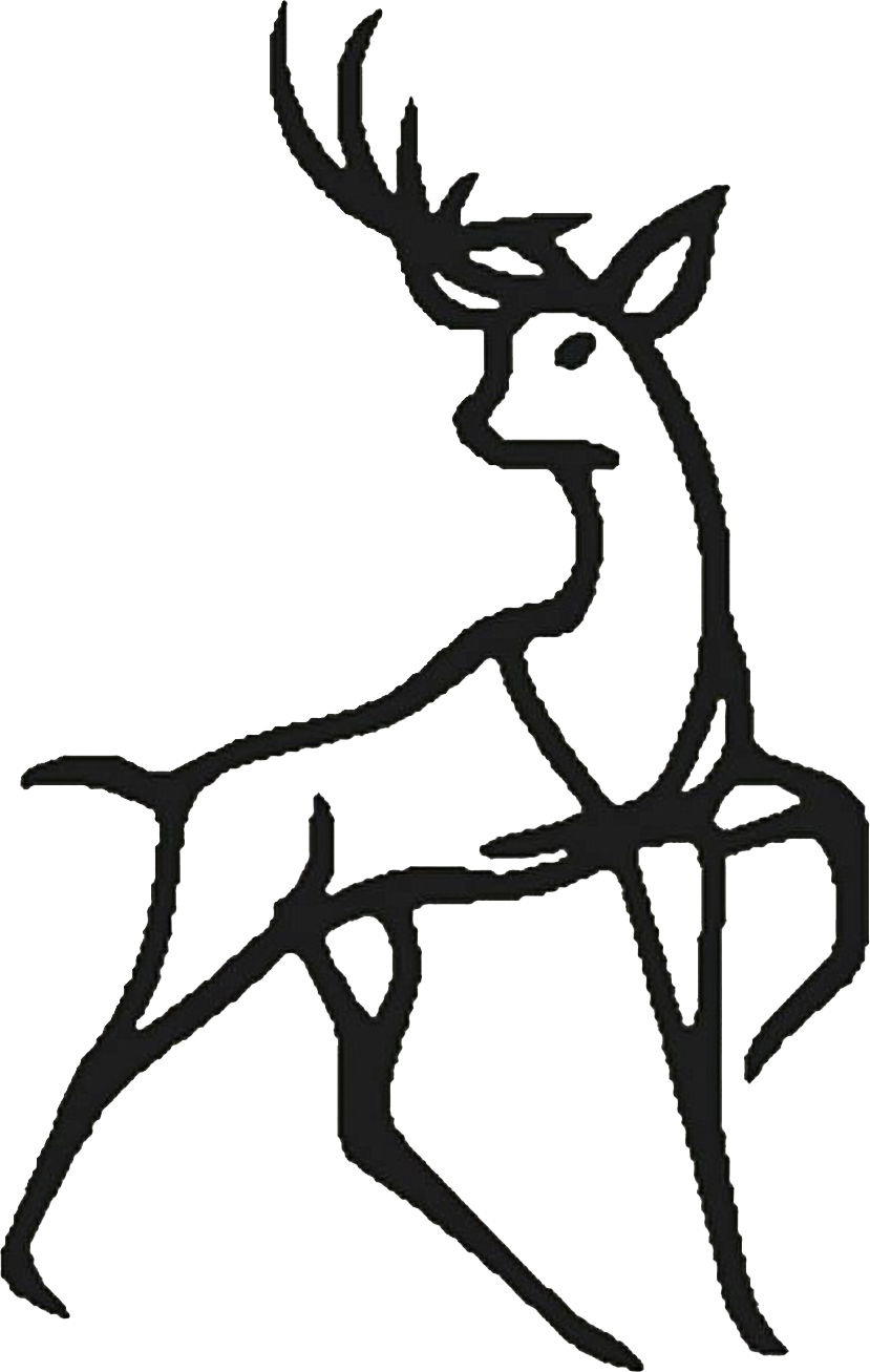 よはくの本やさん